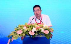 魏小安：后新冠旅游不是复苏是振兴