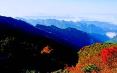 权威数据：2019年旅游市场基本情况