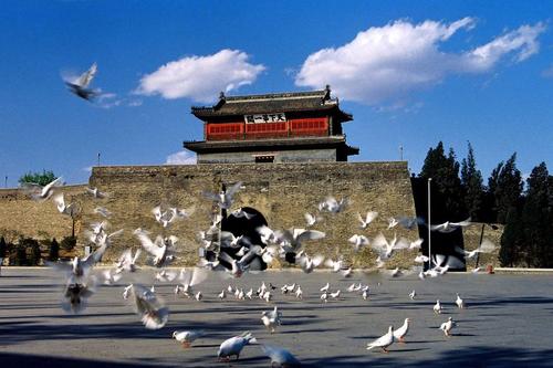 山海关区创建国家全域旅游示范区